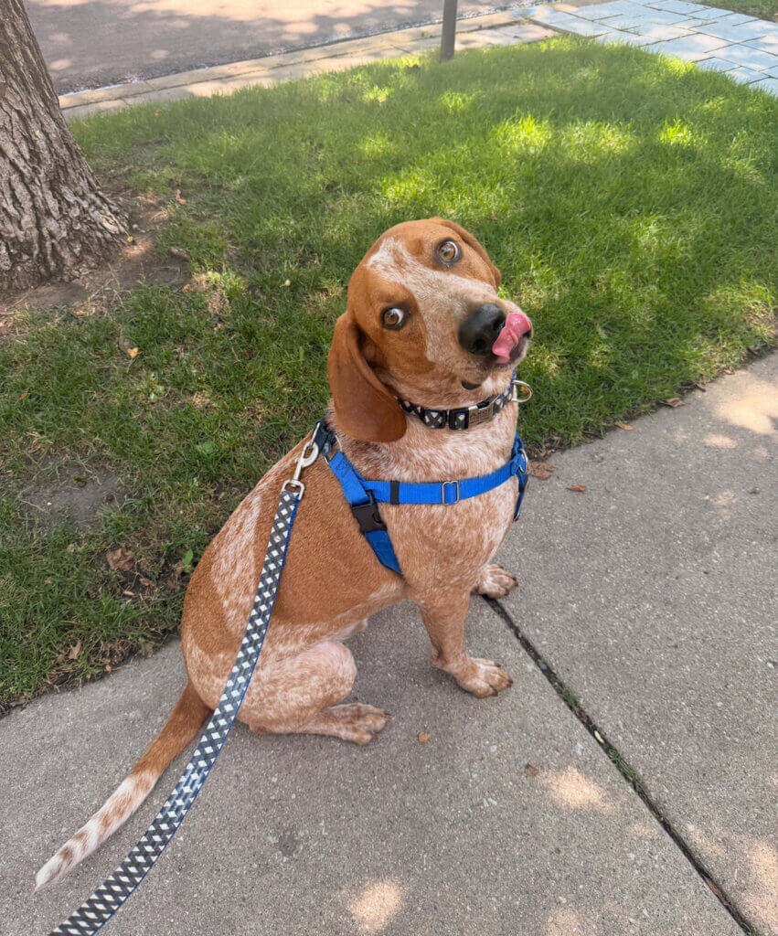 Image #1 from Shannon Lindsey