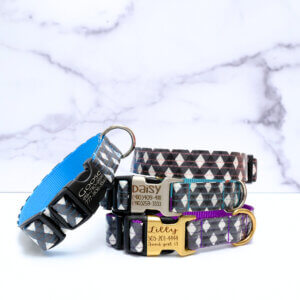 North Summer Plaid collar