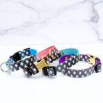 'North' Black and White Gingham Laminated Cotton Dog Collar