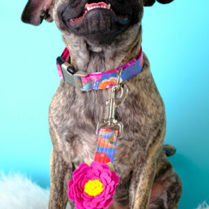 Phoebe Smiling Laminated Cotton Amelia