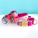 'Amelia' Floral Laminated Cotton - Personalized Martingale Dog Collar