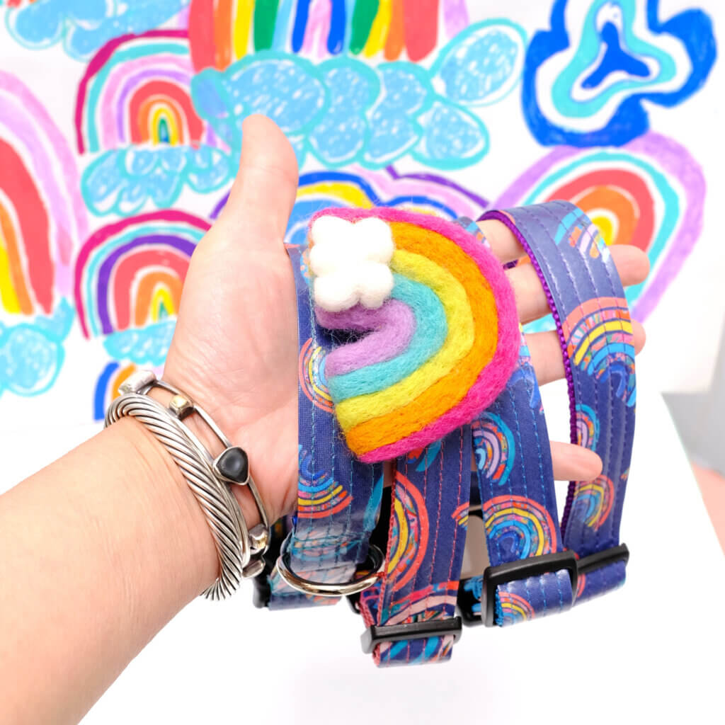 cute rainbow dog collars