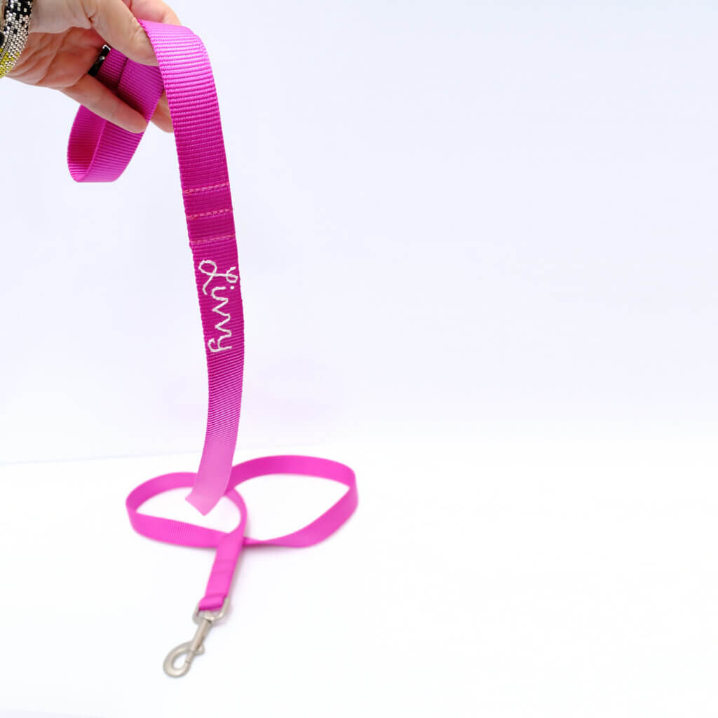 embroidered dog leash raspberry nylon webbing