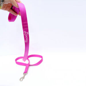 embroidered dog leash raspberry nylon webbing