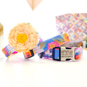 engraved floral dog collar amelia