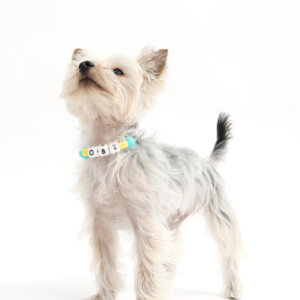 obi with beaded friendship collar