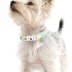 obi with beaded friendship collar