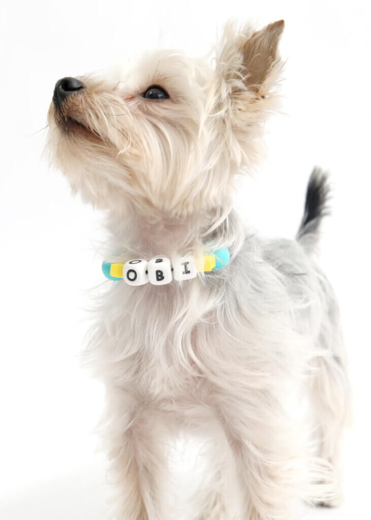 obi with beaded friendship collar