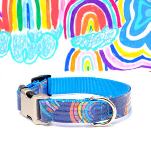 pride dog collar