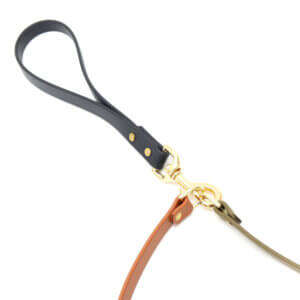 waterproof biothane double leash