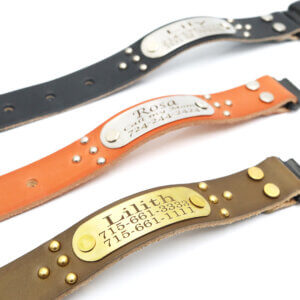 ace leather fi compatible studded belt buckle collars