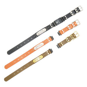 ace leather fi compatible studded belt buckle collars