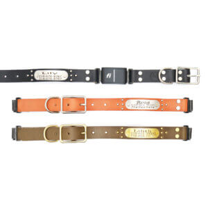 ace leather fi compatible studded belt buckle collars