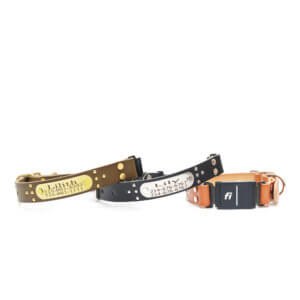 ace leather fi compatible studded belt buckle collars