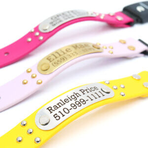 ace waterproof fi compatible studded belt buckle collars