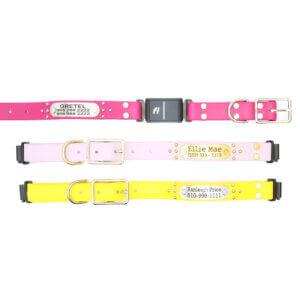 ace waterproof fi compatible studded belt buckle collars