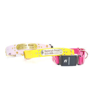 ace waterproof fi compatible studded belt buckle collars