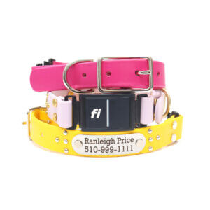 ace waterproof fi compatible studded belt buckle collars