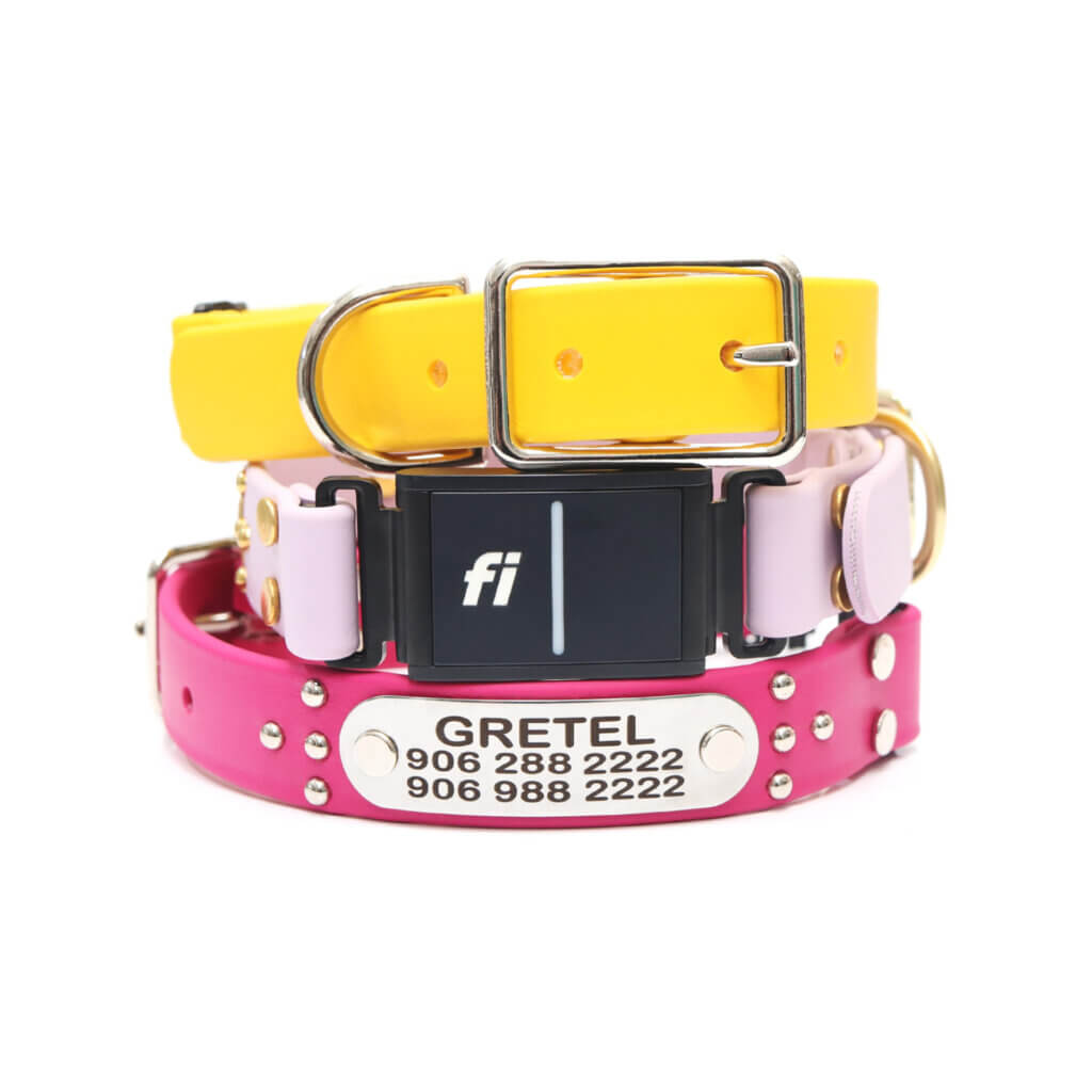 ace waterproof fi compatible studded belt buckle collars