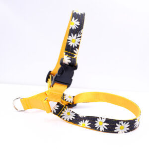 daisy dog harness black white easy on