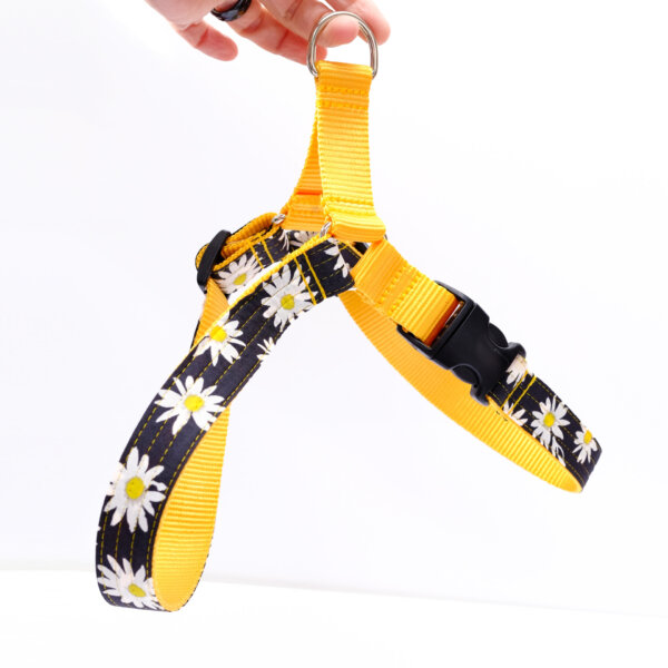 daisy dog harness easy on