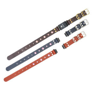 dolly leather fi compatible studded belt buckle collars