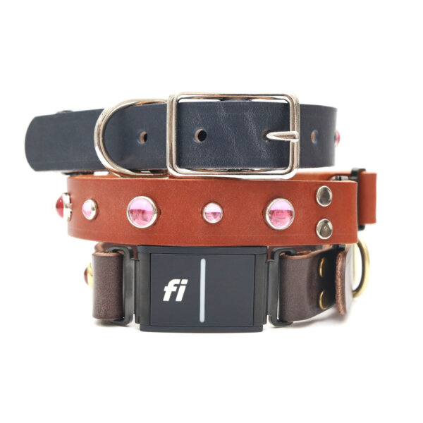 dolly leather fi compatible studded belt buckle collars