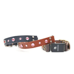 dolly leather fi compatible studded belt buckle collars
