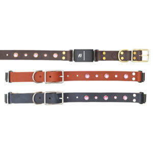 dolly leather fi compatible studded belt buckle collars