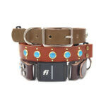 Turquoise Studded Leather Fi Compatible Belt Buckle Dog Collar | The 'Duke'