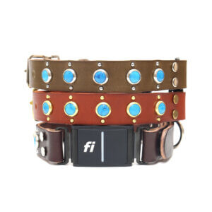 duke leather fi compatible studded belt buckle collars