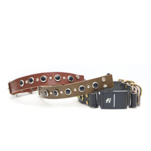 johnny leather fi compatible studded belt buckle collars