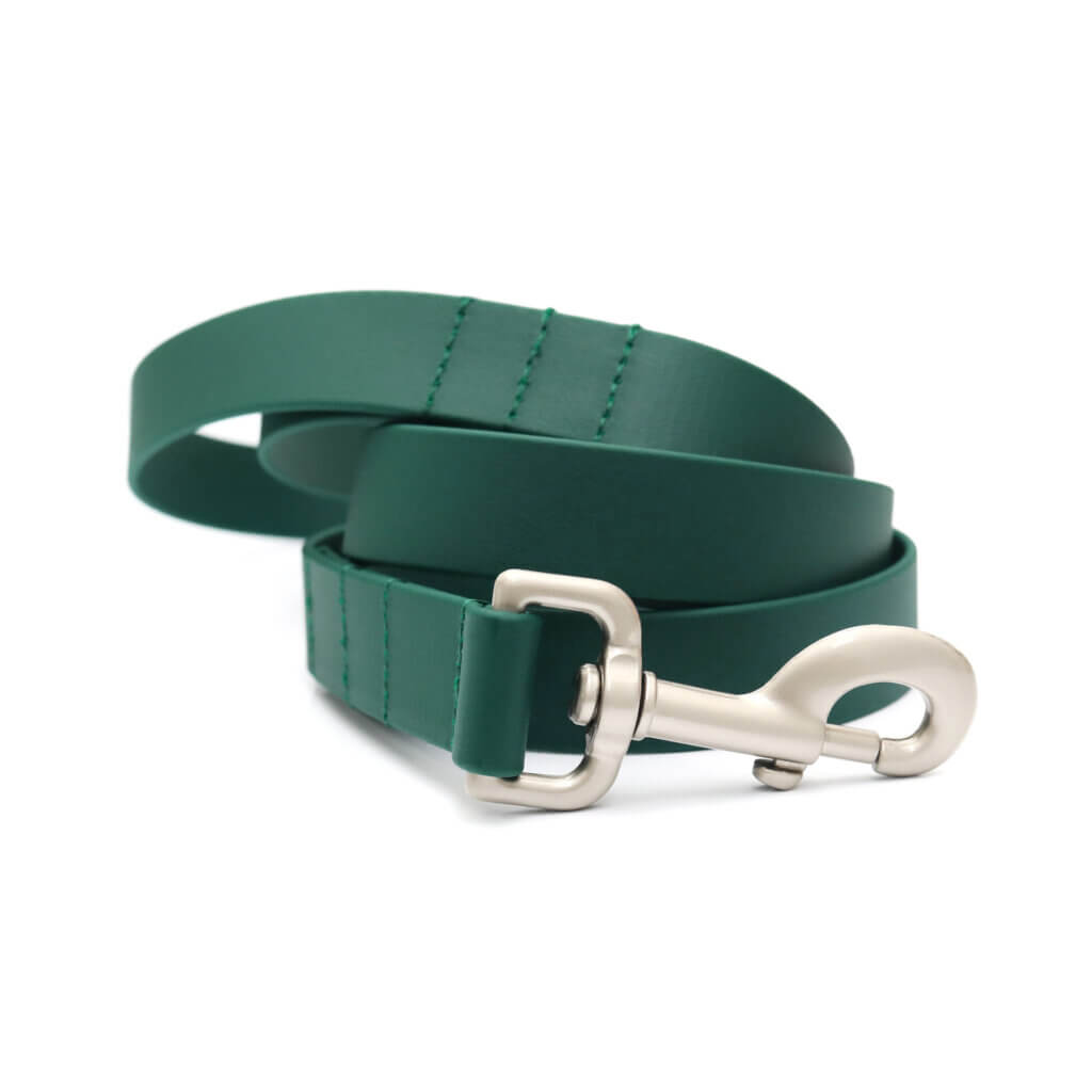 sewn midweight biothane leash forest