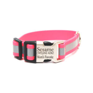 sewn midweight reflective buckle collars pink biothane