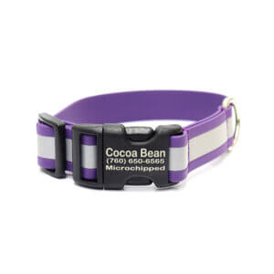 sewn midweight reflective buckle collars purple biothane