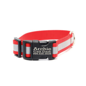 sewn midweight reflective buckle collars red biothane