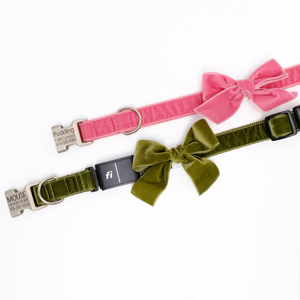 Fi dog collar engraved with velvet bow