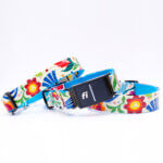 ‘Frida’ Folksy Fi Compatible Laminated Cotton Dog Collar