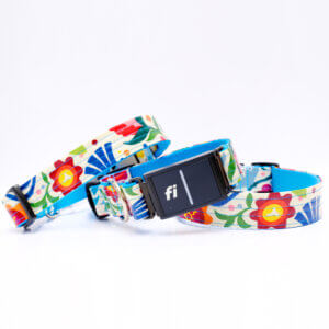 Fi dog collar mexican print frida