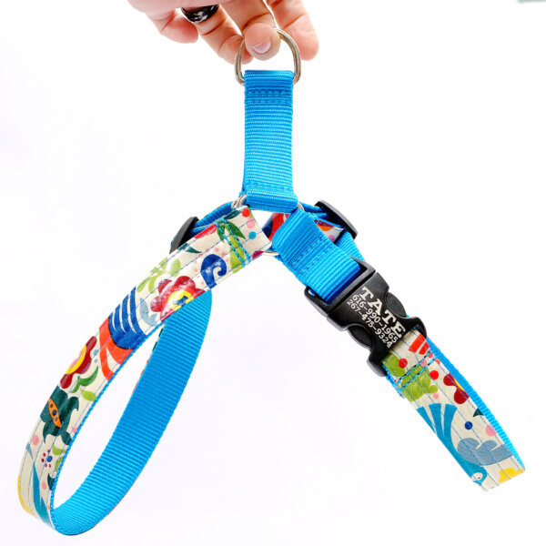 Frida laminated dog harness personalized