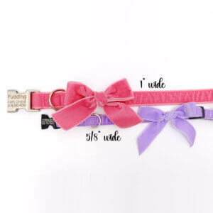 bow collars velvet purple and pink widths