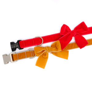 copper velvet dog collar bow neutral