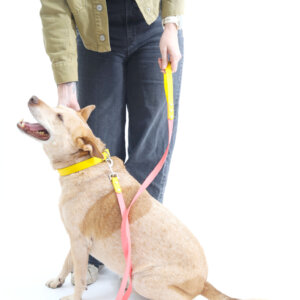 Fox Two Tone Waterproof Leash Coral yellow