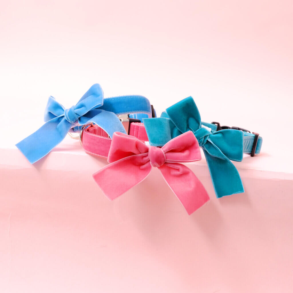 girl dog collar velvet bow collar