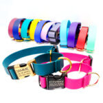 Waterproof Martingale Dog Collar with Engraved Buckle - Biothane Sewn