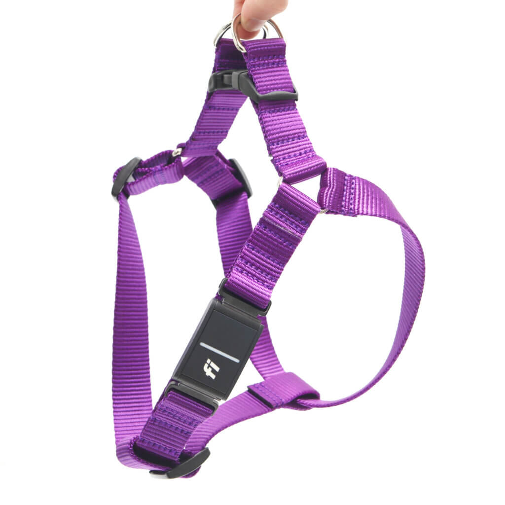 nylon fi compatible step in harnesses