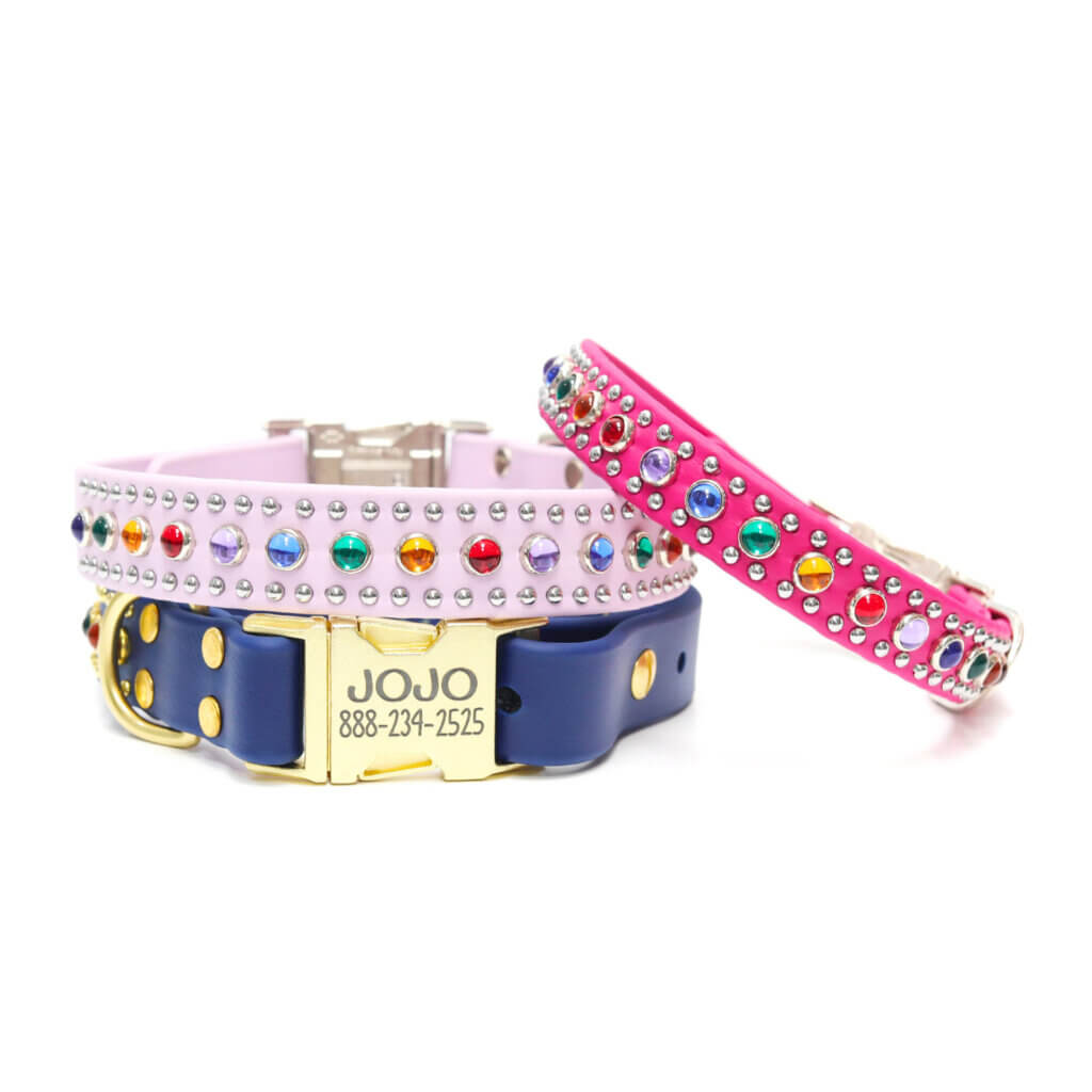 studded waterproof rainbow bart buckle collar biothane custom
