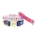 Rainbow Studded Waterproof Dog Collar — The ‘Bart’