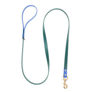 two tone mid weight waterproof leash forest cobalt blue