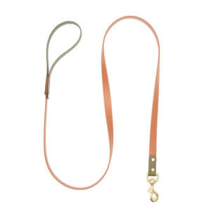 two tone mid weight waterproof leash olive and mesa